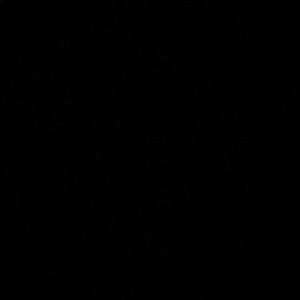 Meet your Posher, Daisy